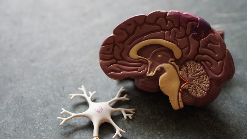 Understanding Addiction: It's Not About Willpower